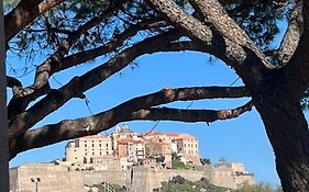 Studio Calvi Situation Exceptionnelle